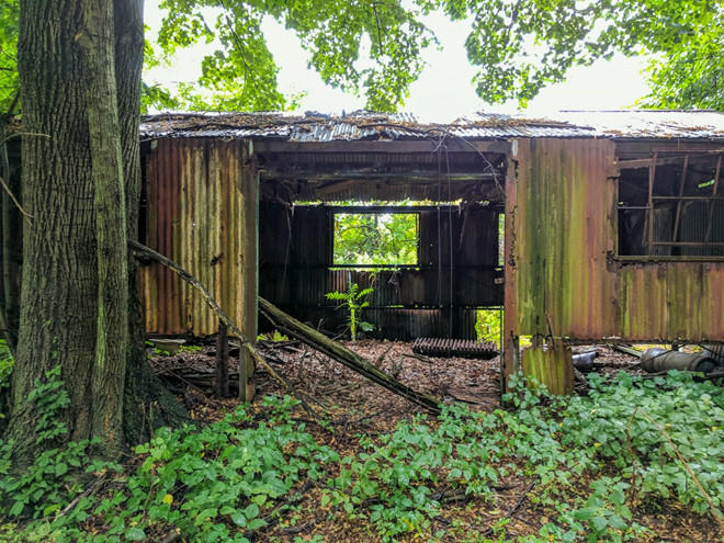 Trong những năm qua, New York đã nỗ lực tìm cách hồi sinh hòn đảo North Brother nhưng không hiệu quả. Do vậy, nơi đây bị bỏ hoang suốt gần 6 thập kỷ khiến các công trình trên đảo trở nên tan hoang và u ám.