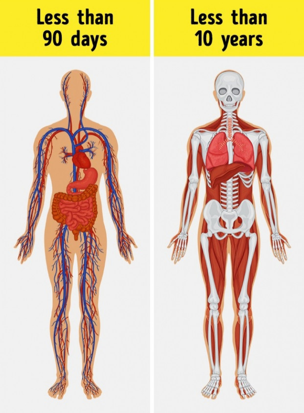 8 dieu doc la van dien ra trong co the nguoi it ai ngo