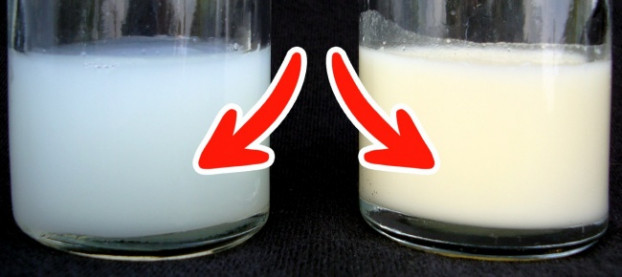 8 dieu doc la van dien ra trong co the nguoi it ai ngo-Hinh-6