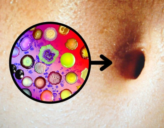 8 dieu doc la van dien ra trong co the nguoi it ai ngo-Hinh-2