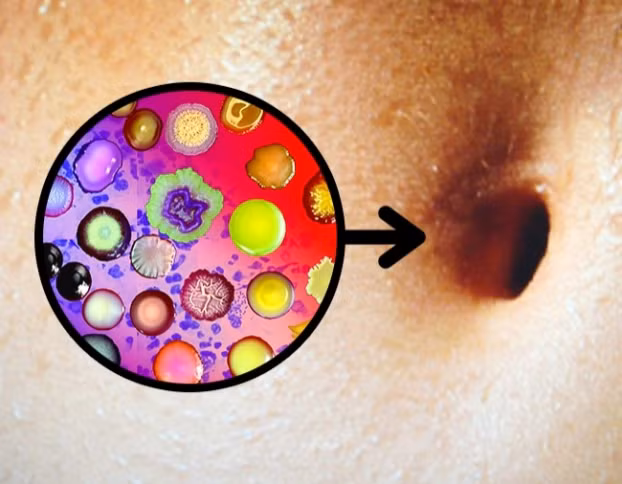 8 dieu doc la van dien ra trong co the nguoi it ai ngo-Hinh-2