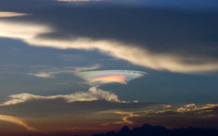 Nguyên do là vì ngay ngày đầu tiên là chủ nhân trang trại, anh em nhà Sherman đã bắt gặp một con sói lớn.