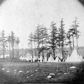 Đến ngày 22/6/1859, người nông dân Mỹ có tên Lyman Cutlar phát hiện một con lợn đi lạc vào trang trại và phá hoại khu vực trồng khoai tây của gia đình. Vì vậy, ông lấy súng và bắn chết con lợn mà không biết nó thuộc về một người Canada có tên Charles Griffin.