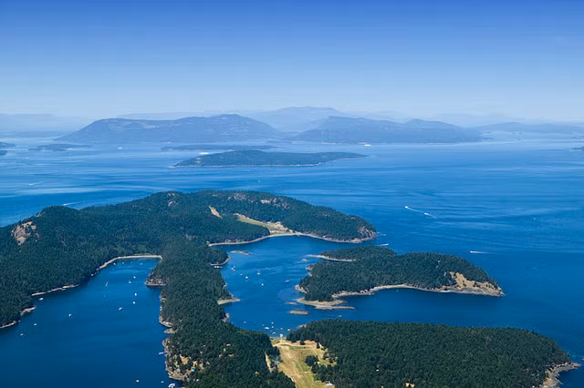 Kể từ đây, Anh và Mỹ có những động thái tăng thêm quân và vũ khí tới đảo San Juan khiến tình hình trở nên hết sức căng thẳng. Trước nguy cơ xảy ra một cuộc chiến chỉ vì một con lợn, Tổng thống Mỹ James Buchanan cử tướng Winfield Scott tới San Juan để đàm phán và giải quyết vấn đề.