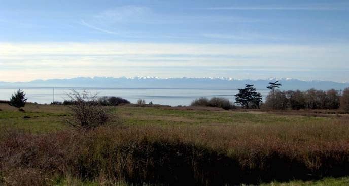 Tuy nhiên, các điều khoản của hiệp ước lại không đề cập tới chủ quyền đảo San Juan ở phía nam vĩ tuyến 49 thuộc về nước nào.