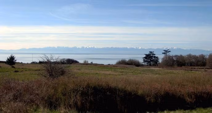 Tuy nhiên, các điều khoản của hiệp ước lại không đề cập tới chủ quyền đảo San Juan ở phía nam vĩ tuyến 49 thuộc về nước nào.