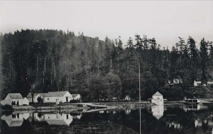 Khi biết chuyện con lợn bị giết, Charles Griffin yêu cầu Lyman Cutlar bồi thường nhưng bị từ chối. Vì vậy, Charles Griffin nộp đơn khiếu nại lên lực lượng quân sự Anh đang đồn trú trên đảo để giải quyết tình hình. Trong bối cảnh đó, nông dân Lyman Cutlar cũng đề nghị chính quyền Oregon bảo vệ.