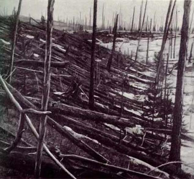 Theo giả thuyết này, tác động của vụ nổ Tunguska xảy ra năm 1908 đã ảnh hưởng đến vùng đất này, trong đó có hệ động thực vật.