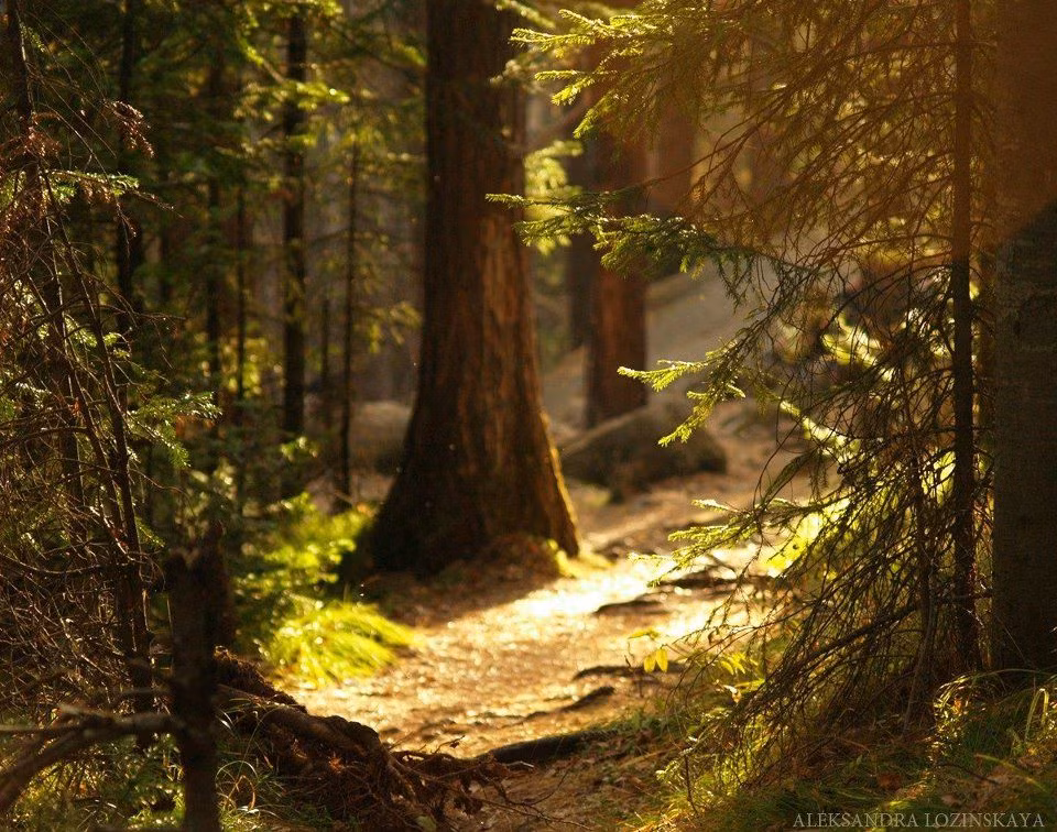 Liên quan đến khu vực kỳ bí này, một giả thuyết được đưa ra để lý giải những điều dị thường xảy ra tại "nghĩa địa của quỷ".