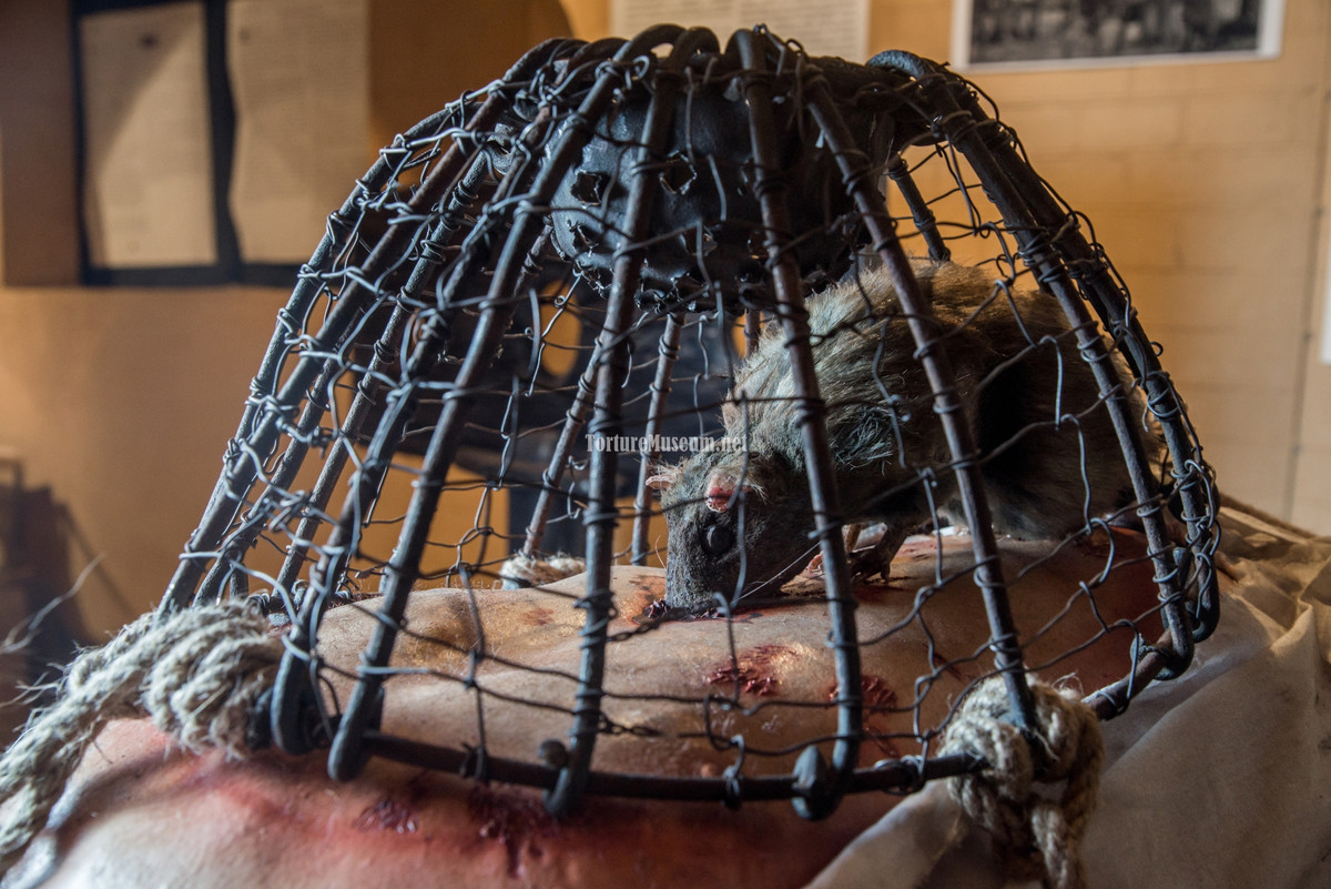 Tra tấn bằng chuột khiến nhiều người khiếp sợ bởi mức độ tàn bạo và rùng rợn của nó. Phương pháp này từng được sử dụng rộng rãi ở nhiều nước châu Âu.