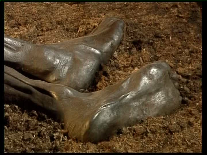 Điều khiến giới chuyên gia tò mò và ngạc nhiên hơn là biểu cảm kỳ lạ trên khuôn mặt của xác ướp đầm lầy Tollund Man.