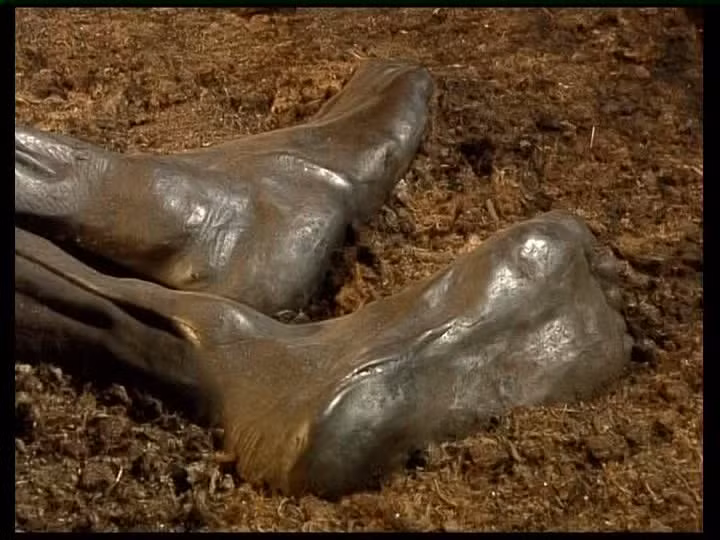 Điều khiến giới chuyên gia tò mò và ngạc nhiên hơn là biểu cảm kỳ lạ trên khuôn mặt của xác ướp đầm lầy Tollund Man.