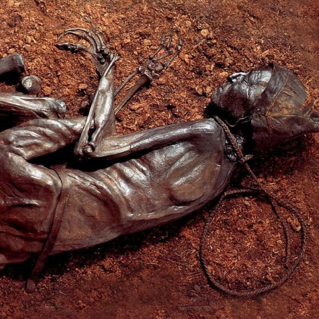 Cụ thể, gương mặt của Tollund Man trông khá điềm tĩnh không hề có vẻ đau đớn, chống cự lại khi bị treo cổ.