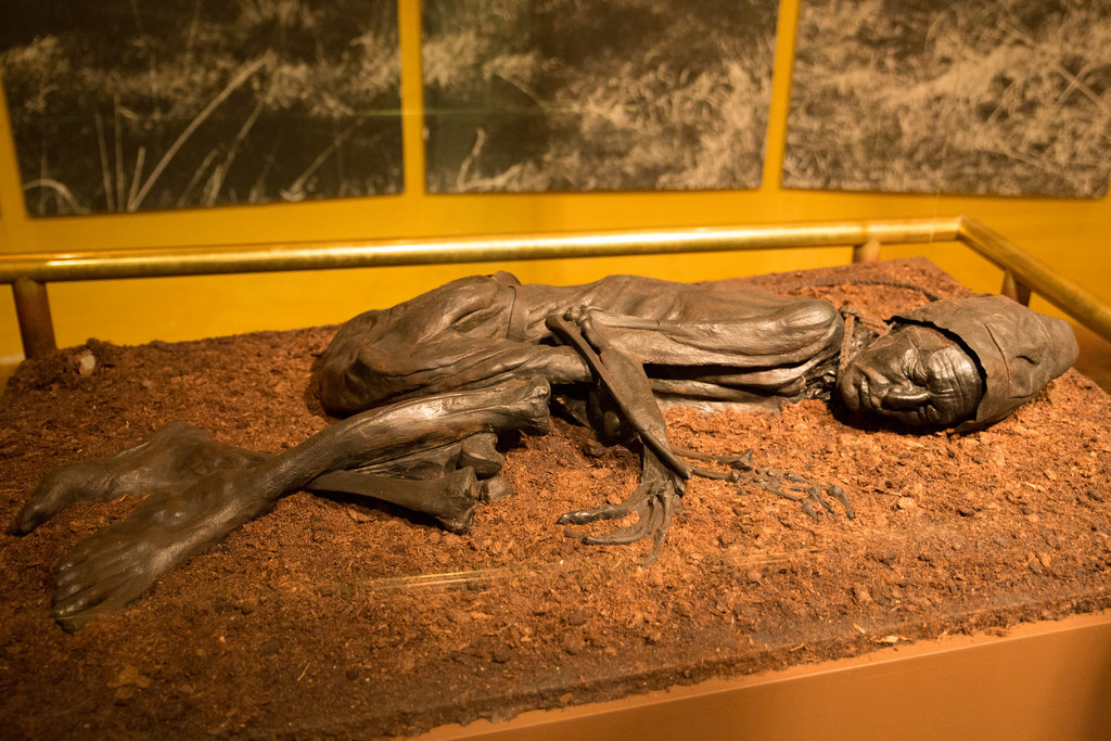 Cho đến nay, giới chuyên gia vẫn chưa thể xác minh danh tính của xác ướp Tollund Man cũng như lý do vì sao người này bị treo cổ.