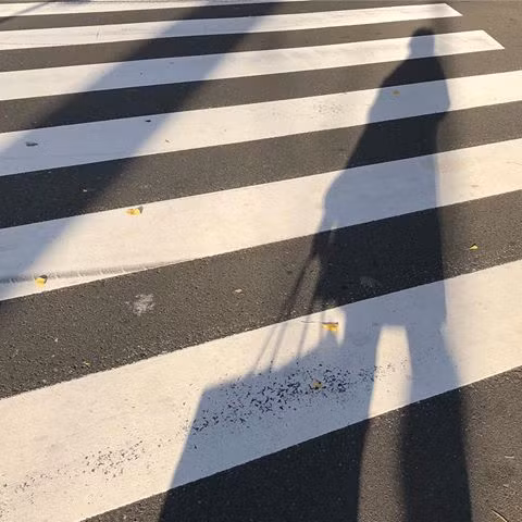 Do mắc nỗi sợ băng qua đường nên những người này thường cảm thấy khó khăn khi sống và làm việc ở những thành phố lớn.