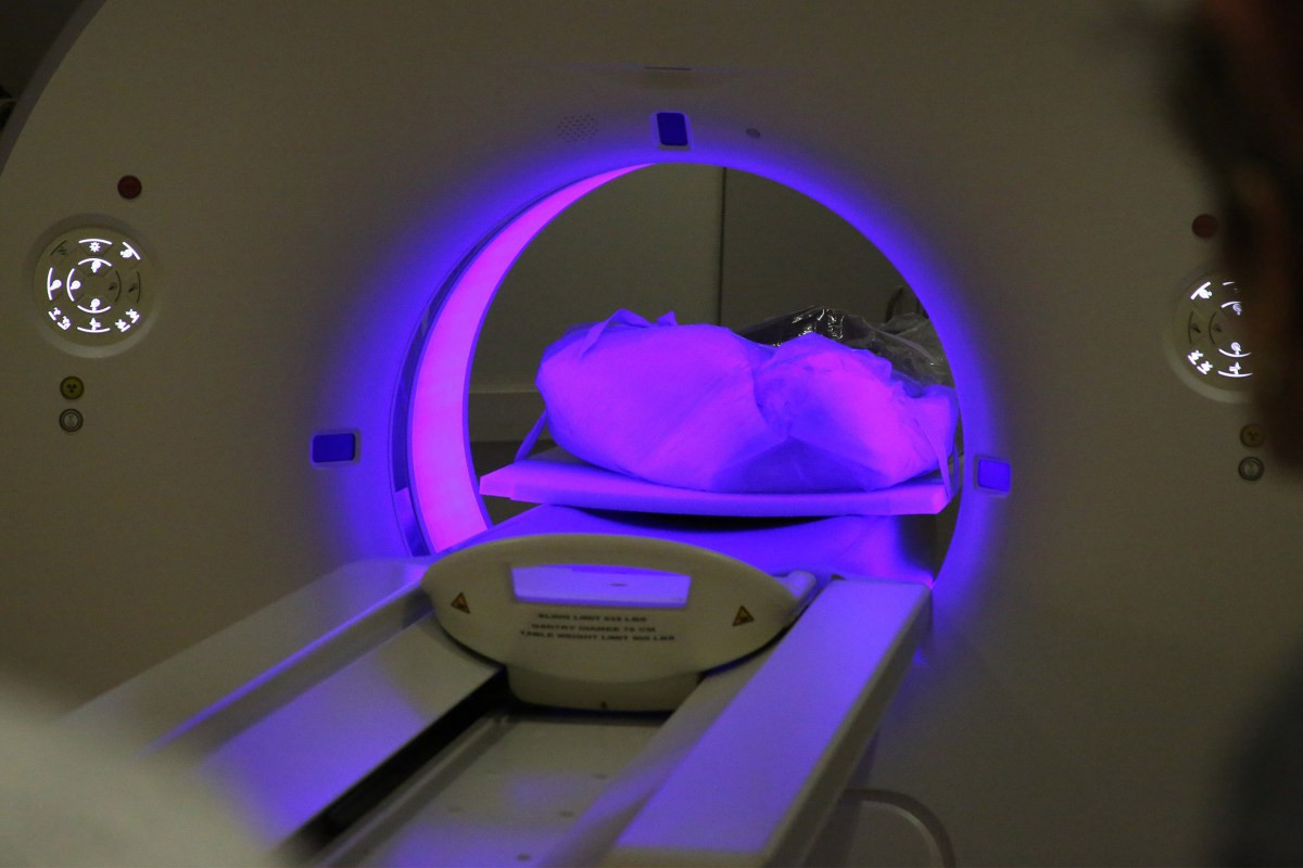 Số xác ướp 500 tuổi trên được lưu giữ và bảo quản tại Bảo tàng Khảo cổ và Dân tộc học Peabody thuộc ĐH Harvard.