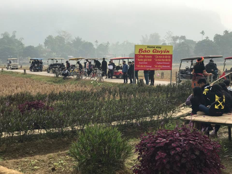 Cách làm của cô chủ Tuyết Trinh đã đánh thức vùng đất khó Nà Phòn.