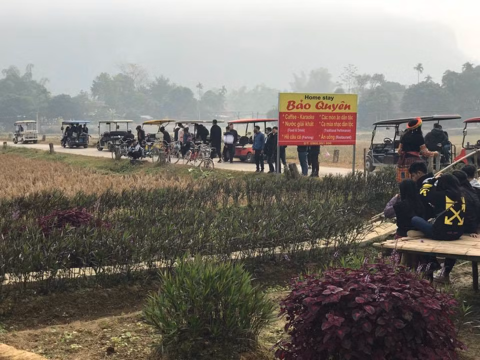 Cách làm của cô chủ Tuyết Trinh đã đánh thức vùng đất khó Nà Phòn.