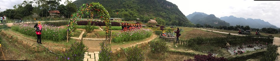 Cảnh đẹp hài hòa tại Homestay Bảo Quyên.