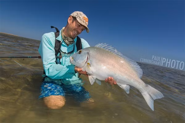 Hiện cá Blue Bastard được tìm thấy sinh sống nhiều ở phía Bắc Australia. Chúng thường phải cạnh tranh sinh tồn với cá sấu và cá mập trong môi trường đá ngầm.