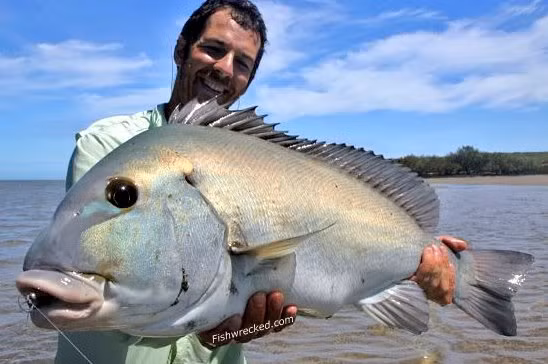 Cá Blue Bastard có 12 cái ngạnh khác biệt ở phần lưng, thời kỳ còn non, cá Blue Bastard sẽ có màu vàng, đen cùng những sọc viền sáng màu, khi trưởng thành, những màu sắc cũ bị nhạt dần, cuối cùng chuyển hẳn thành màu xanh bạc. Loài thủy quái này có thể dài đến 1m khi trưởng thành.