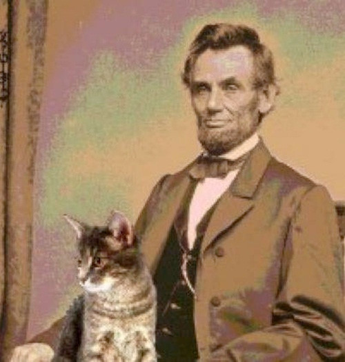 Abe Lincoln nuôi đến 4 con mèo khi ông còn ở trong nhà Trắng.