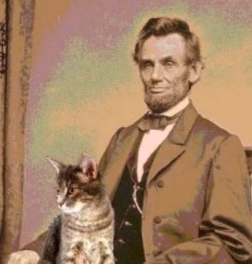 Abe Lincoln nuôi đến 4 con mèo khi ông còn ở trong nhà Trắng.
