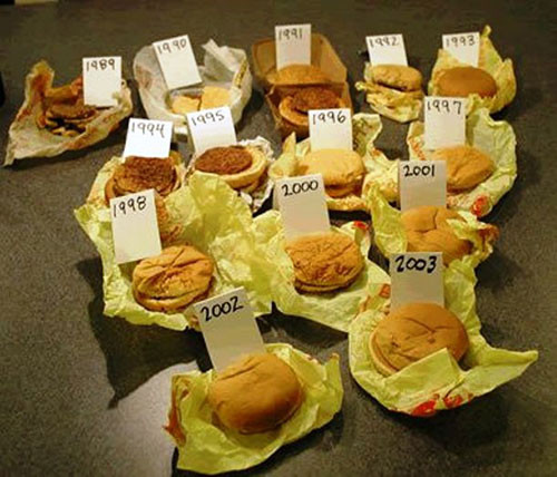 Matt Malgram sưu tập bánh hamburger từ những năm 1989 và anh đã bảo quản chúng cho tới ngày nay. Ý tưởng này xuất phát từ việc anh chàng mua chiếc bánh về và để quên không ăn. Sau một năm, Matt ăn thử phát hiện chiếc bánh vẫn có hương vị y như ban đầu.