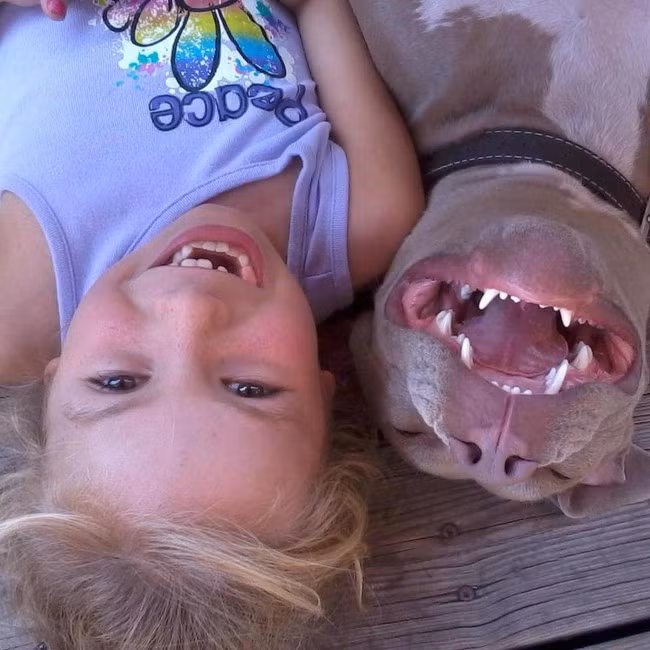 Được chụp ảnh cùng cô chủ, chú chó này cười không biết trời đất là gì.