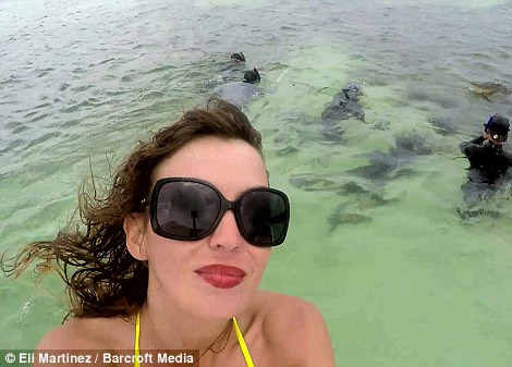 Các thợ lặn và quay phim giữ khoảng cách khá xa với cá sấu so với Roberta.