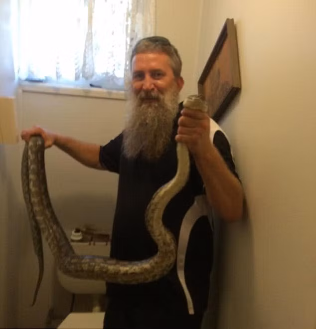 Trước đó chỉ hai ngày, cũng tại Townsville, ông Chris Devon, một thợ bắt rắn khác cũng nhận được điện thoại cầu cứu của một hộ gia đình ở đây khi họ phát hiện một con trăn đang nằm trong nhà vệ sinh của mình. Trong ảnh là ông Chris Devon và con trăn dài 2,3m.