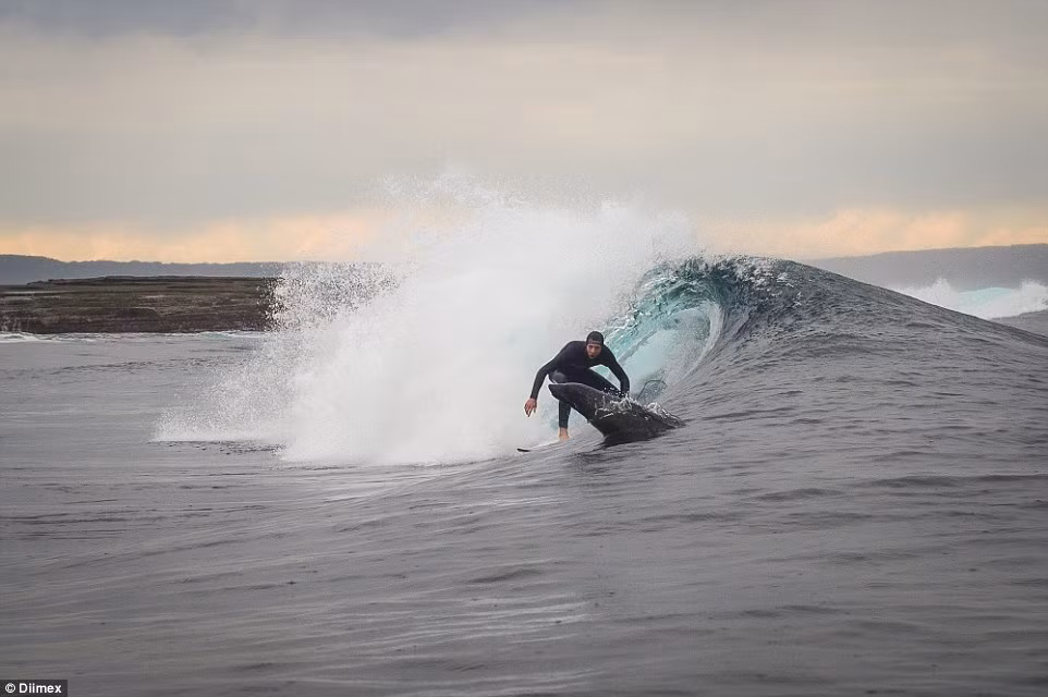 Tuy làm gián đoạn buổi lướt sóng nhưng đây quả thực là một sự gián đoạn dễ thương.