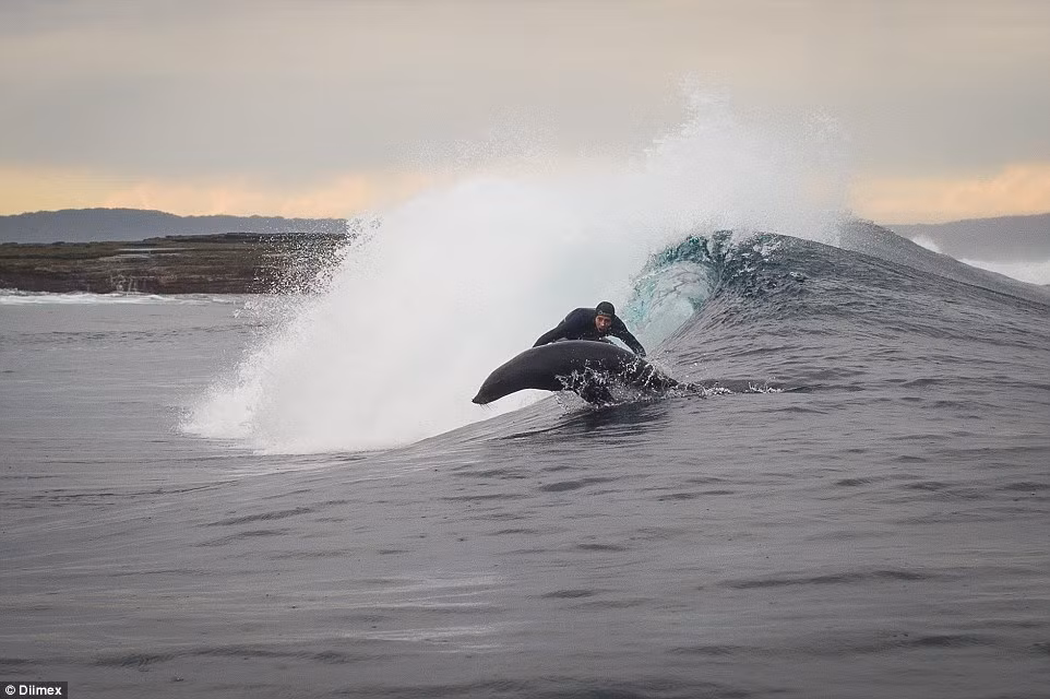 Surfer Russell Quinn và anh trai của mình Adam ở Huskisson, New South Wales rất ngạc nhiên và hứng thú khi họ đang lướt sóng cùng nhau thì bỗng nhiên một con hải cẩu kỳ lạ vút lên thách thức đua cưỡi sóng.