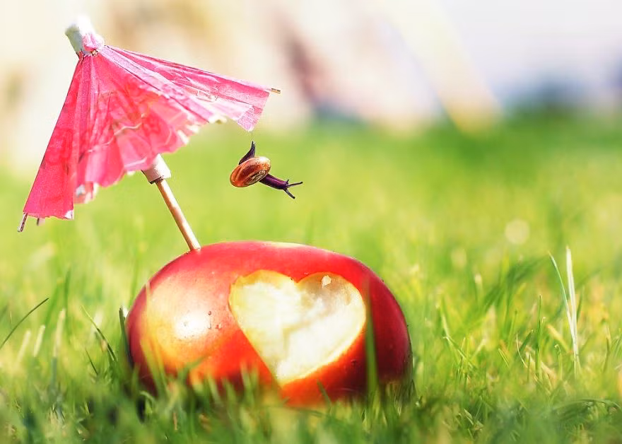 Ốc sên hưng phấn nhảy nhót khi tán đổ được cô hàng xóm, trong mắt chú ta, cả thế giới đều đáng yêu.