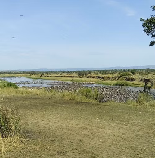 Mới đây, nhân viên hướng dẫn khu bảo tồn động vật hoang dã khu vực Tanzania đã phát hiện hàng trăm con linh dương đầu bò chết thảm do bị đuối nước khi di cư.