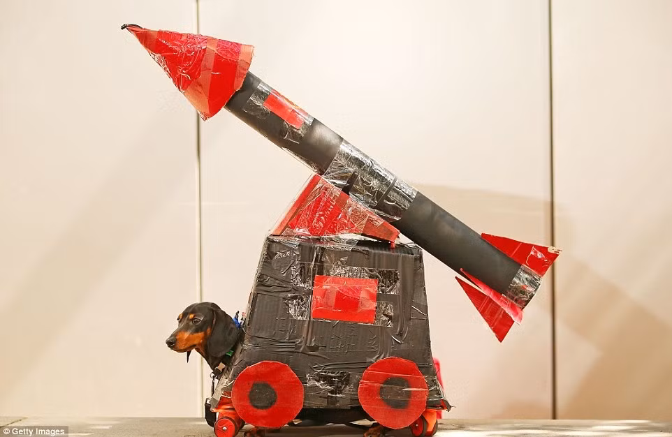 Chơi trội bằng thời trang mô hình, chủ nhân và cả chú chó đều hi vọng trang phục của mình sẽ lọt vào mắt xanh của ban giám khảo.