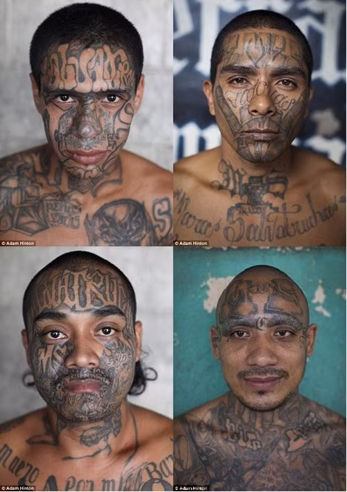 Can canh tu nhan xam kin nguoi khien quan giao so hai