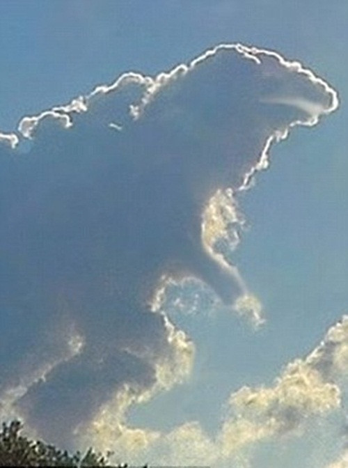 Cận cảnh đám mây có hình quái vật Godzilla với đầu, chân, miệng khá rõ ràng và dáng đi hờ hững. Nhiếp ảnh gia Jay Albert là người đã chụp được bức ảnh đặc biệt này và chia sẻ rằng ông đã rất ngạc nhiên khi một đám mây lại có thể có hình thù giống đến 80% với nguyên mẫu con quái vật bị đột biến trong phim.