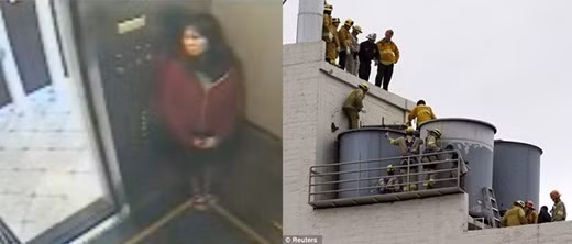 Cái chết bí ẩn của Elisa Lam được cho là một trong những kỳ án bí ẩn nhất của thế giới. Elisa La là một nữ sinh viên người Canada 21 tuổi và đang theo học tại Vancouver, trong một chuyến du lịch, Elisa đã bỏ mạng một cách kỳ lạ trong một bồn chứa nước ở trên sân thượng của khách sạn. Cái chết của cô được xem như là tai nạn khi các nhà điều tra không tìm thấy bất cứ dấu hiệu hình sự nào. Sau đó, video quay lại hình ảnh Elisa trước khi chết, bước vào thang máy, hành động kỳ lạ, nói chuyện với người vô hình, trốn tránh, nhảy múa đã được đăng tải, khiến nhiều người hoang mang và cho rằng Elisa đã bị những con ma khách sạn ám.