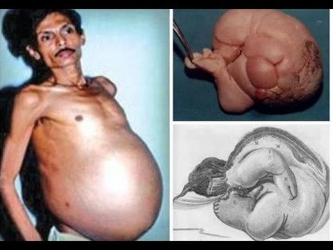 Nguoi dan ong Viet Nam ky la gay kinh ngac the gioi-Hinh-3