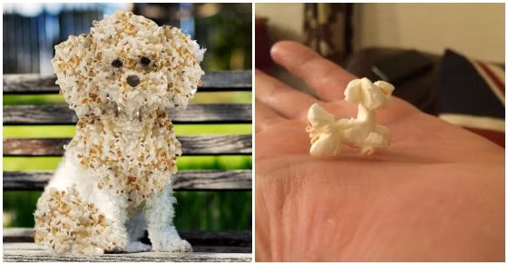 Chú chó có bộ lông xù như bỏng ngô và hạt bỏng ngô kỳ quặc có hình chú chó.