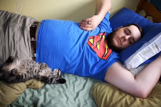 Từ dáng nằm đến tư thế chân, tay, chú mèo này đều bắt chước y hệt chủ của mình.