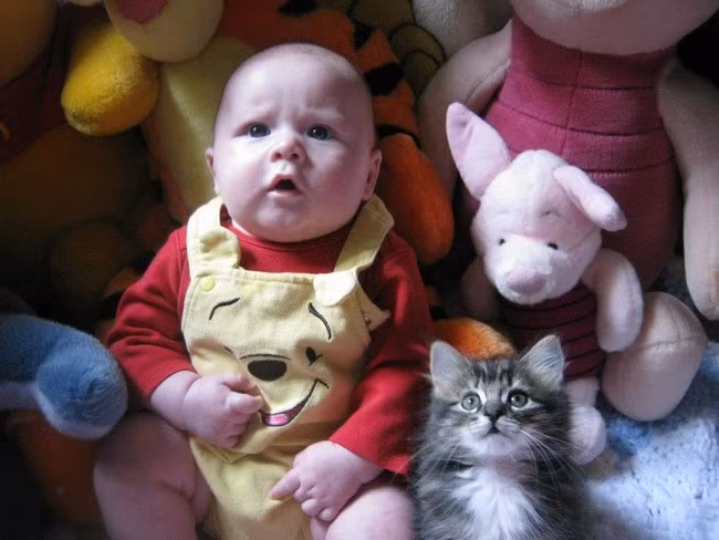 Cả hai khuôn mặt non nớt, tỏ thái độ ngơ ngác khó hiểu đều khiến người xem cả thấy cực kỳ dễ thương.