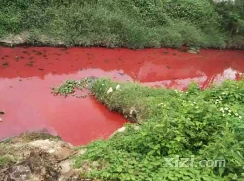 Sau khi lần theo nguồn nước, cuối cùng các điều tra viên cùng các chuyên gia tìm ra được nguyên nhân của hiện tượng này, đó là do hóa chất của một xưởng sản xuất, chế tác đá quý gây nên.