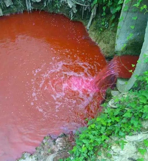 Cận cảnh dòng nước đỏ sủi bọt rùng rợn của sông máu xuất hiện ở Trung Quốc.