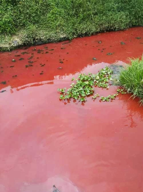 Điều này cũng có nghĩa, sở Công an cùng với cục quản lý, bảo vệ môi trường của địa phương đã không kiểm soát được những phân xưởng phân bố trên địa bàn, dẫn đến tình trạng ô nhiễm nặng nề, gây ảnh hưởng nghiêm trọng đến đời sống dân cư và môi trường sinh thái.