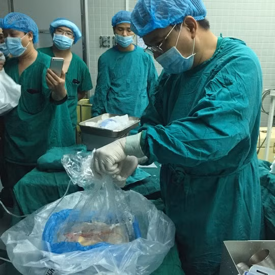 Quả tim được cất đi cẩn thận.