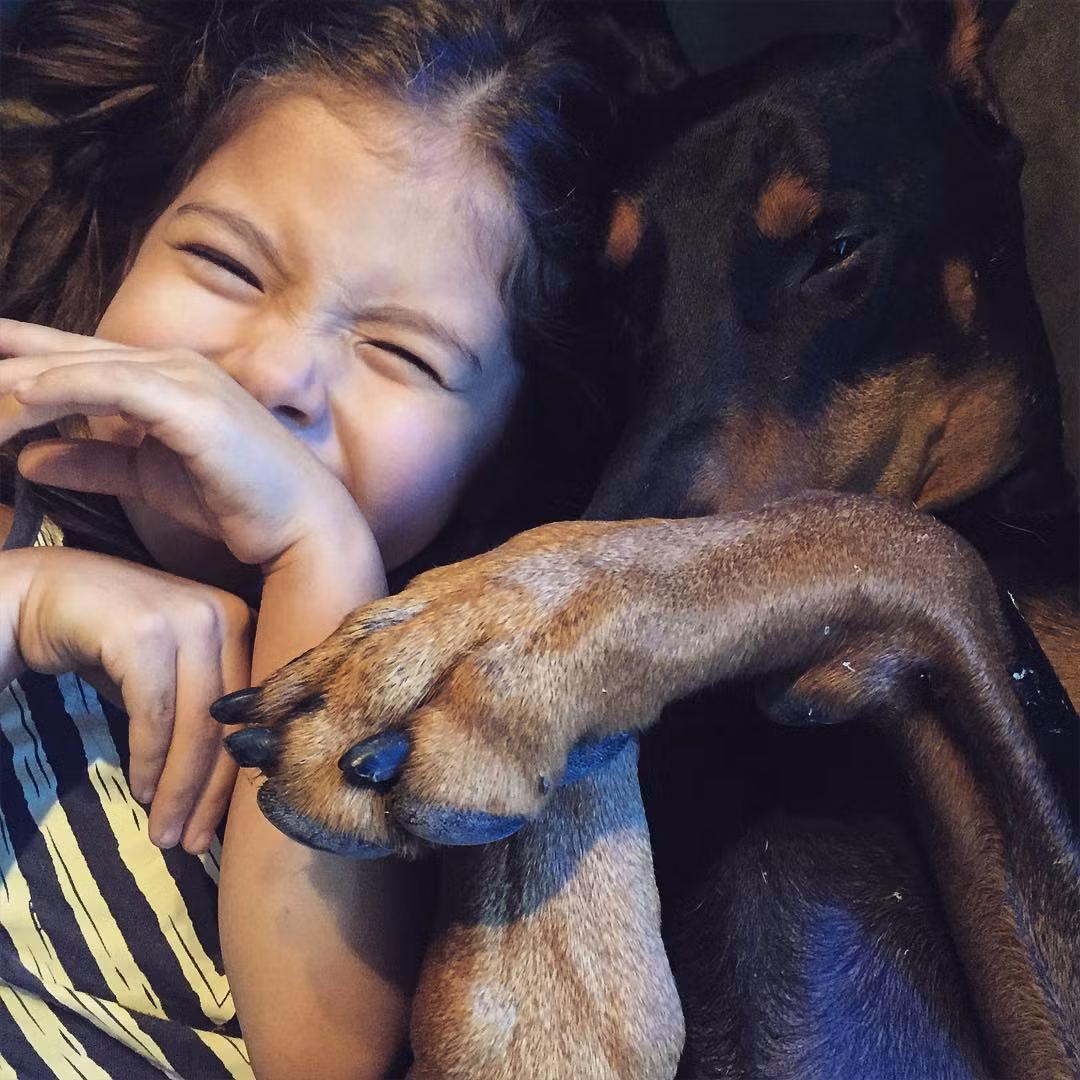 Những bức ảnh hài hước, đáng yêu, thời trang của đôi bạn Siena, Buddha đã thu hút tới 118.000 người theo dõi và trở thành một trong những tài khoản nổi tiếng nhất thế trang mạng xã hội chia sẻ ảnh rất được yêu thích này.