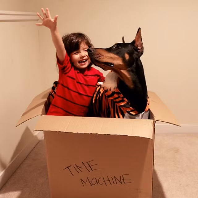 Buddha trải qua tất cả mọi khoảnh khắc vui vẻ, giận hờn, khó chịu, cáu gắt, buồn bã, sợ hãi cùng với cô bạn đáng yêu Siena nhưng đọng lại vẫn là những điều ngọt ngào và êm dịu nhất.