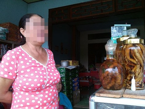 “Ho bien” cu ray thanh… sam Ngoc Linh gia tram trieu-Hinh-3